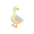 charm